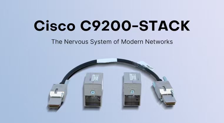 The C9200-24P-A: More Than Just a Switch